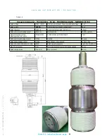 Preview for 33 page of nbs 150-CTDL-31.5-FX Installation, Operation And Maintenance Manual