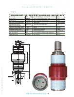 Preview for 35 page of nbs 150-CTDL-31.5-FX Installation, Operation And Maintenance Manual