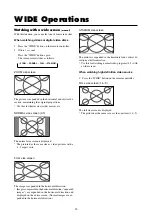 Preview for 21 page of NEC 42MP1USERMAN User Manual