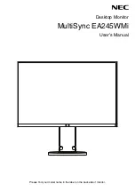 Preview for 1 page of NEC 60003811 User Manual