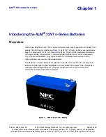 Предварительный просмотр 9 страницы NEC ALM 12V7 s-Series User Manual