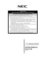 NEC DS1000/2000 User Manual preview