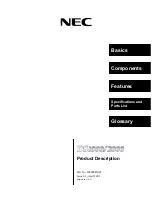 NEC DS1000 Product Description preview