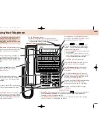 Preview for 1 page of NEC DS1000 Quick Reference Manual