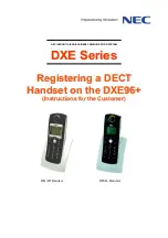 NEC DXE Series Instructions For The Customer preview