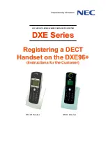 Preview for 1 page of NEC DXE Series Instructions For The Customer