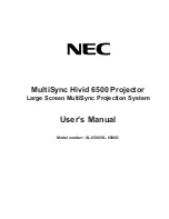 Предварительный просмотр 1 страницы NEC HIVID 6500 User Manual