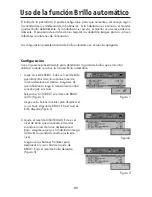 Предварительный просмотр 91 страницы NEC LCD1990FXP-BK - MultiSync - 19" LCD Monitor User Manual