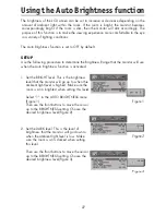 Preview for 29 page of NEC LCD1990SXP - MultiSync - 19" LCD Monitor User Manual