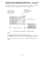 Preview for 30 page of NEC LCD1990SXP - MultiSync - 19" LCD Monitor User Manual