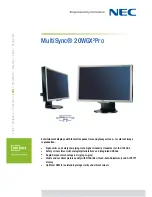 Preview for 1 page of NEC MultiSync 20WGX²Pro Specifications