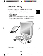 Предварительный просмотр 19 страницы NEC MultiSync LCD1530V User Manual
