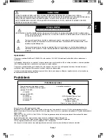 Предварительный просмотр 17 страницы NEC MultiSync LCD1560VM User Manual