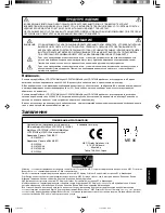 Предварительный просмотр 101 страницы NEC MultiSync LCD1970NX User Manual