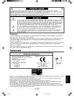 Preview for 101 page of NEC MultiSync LCD2170NX User Manual