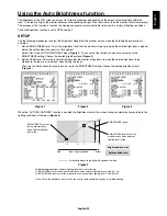 Preview for 31 page of NEC MultiSync P212 User Manual