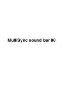 NEC MultiSync sound bar 80 User Manual preview