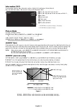 Preview for 21 page of NEC MultiSync V552-DRD User Manual