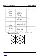 Preview for 28 page of NEC NL10276BC24-21 Datasheet