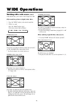 Предварительный просмотр 21 страницы NEC PlasmaSync 42MP2 User Manual