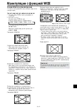 Предварительный просмотр 243 страницы NEC PlasmaSync 42XM4 User Manual