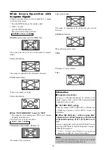 Предварительный просмотр 21 страницы NEC PlasmaSync Operation Manual