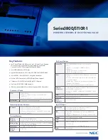 Предварительный просмотр 1 страницы NEC Series3800/S110R-1 Datasheet