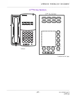 Предварительный просмотр 1029 страницы NEC UNIVERGE NEAX 2000 IPS Command Manual