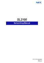 NEC UNIVERGE SL2100 Networking Manual предпросмотр