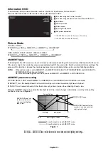 Preview for 20 page of NEC V423 User Manual