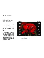Preview for 4 page of NEC X461UN - MultiSync - 46" LCD Flat Panel Display Brochure & Specs