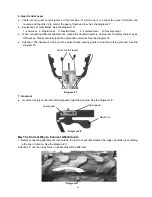 Предварительный просмотр 10 страницы Neilsen CT3324 Instruction Manual