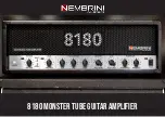 Nembrini Audio 8180 Manual предпросмотр