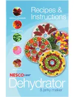 Nesco FD-39 Recipes & Instructions preview