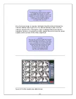 Preview for 22 page of Ness Pro 16/8 User Manual