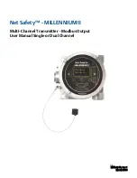 Net Safety MILLENNIUM II User Manual preview