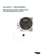 Preview for 1 page of Net Safety MILLENNIUM II User Manual