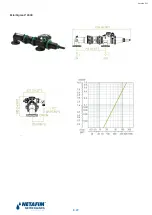 Preview for 9 page of Netafim Amiad Mini Sigma 2 1200 Manual