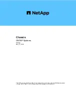 NetApp AFF A300 Manual preview