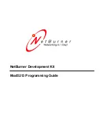 NetBurner Mod5213 Software Programming Manual предпросмотр