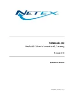 NETEX NESiGate-CO Reference Manual предпросмотр