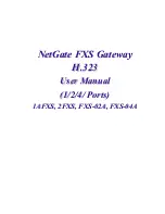 Preview for 1 page of Netgate 1AFXS User Manual