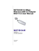 Preview for 1 page of NETGEAR WG111v3 - 54 Mbps Wireless USB 2.0 Adapter User Manual