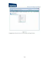 Предварительный просмотр 20 страницы Netis 3G-C101 User Manual