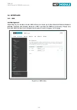 Предварительный просмотр 39 страницы NetModule NB3720 User Manual