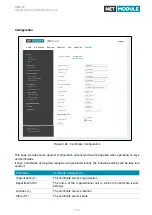 Предварительный просмотр 176 страницы NetModule NB3720 User Manual