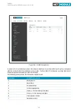 Предварительный просмотр 45 страницы NetModule NG800 User Manual