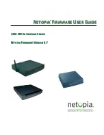 Netopia 3300-ENT Series Firmware User Manual предпросмотр