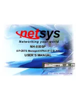 Preview for 1 page of netsys NH-800SP User Manual