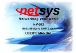 netsys NV-202 User Manual предпросмотр